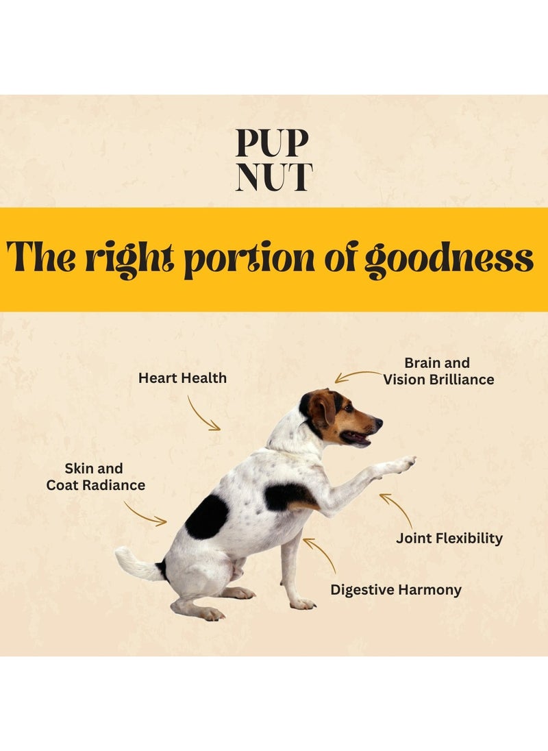 PupNut | Dog Treat 100% Natural Peanut Butter for Dogs with 4 Seeds and Turmeric | Healthy Super food | No Xylitol/No Additives/No Preservatives | Made in the UAE | 200g