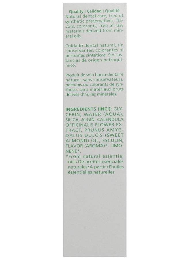 Oral Care Childrens Tooth Gel, 1.7 Fluid Ounce, Fluoride Free, Spearmint Flavor, Plant Rich Toothpaste With Calendula, Silica And Fennel
