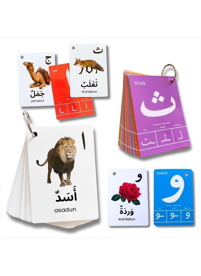 Arabic Alphabet Flash Cards for Kids Toddler and Adults, Arabic First Words, Letter Recognition, Homeschool Learning, Arabic Teacher
