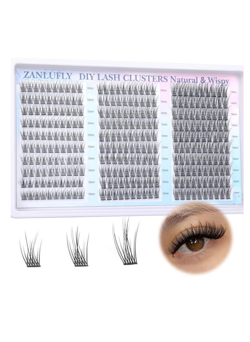 Lash Clusters Wispy Eyelash Clusters C Curl Individual Lashes zanlufly Natural 300Pcs Cluster Lashes Eyelash Extension 10 12 14MM DIY Lash Extension