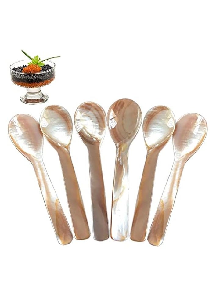 Caviar Spoons Set Coffee Color Mother of Pearl Caviar Spoon with Round Handle for Caviar, Egg, Coffee Serving, Ice Cream, Restaurant Serving Set (6 Pieces,3.54 Inches)