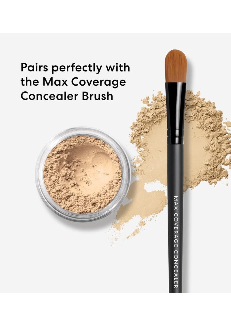 bareMinerals Well Rested Under Eye Brightener SPF 20, Loose Powder for Under Eye Brightening and Dark Circles, Mineral SPF 20, Vegan