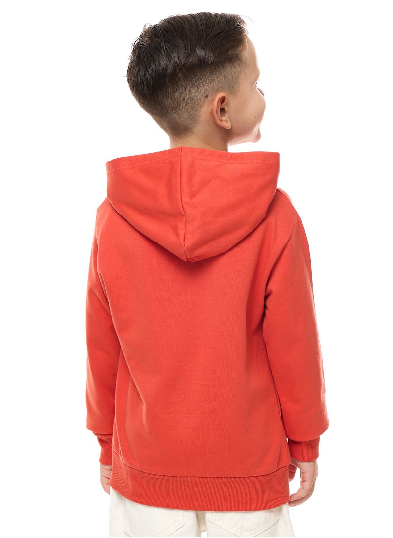 Boys' Graphic printed Cute character Hoodie