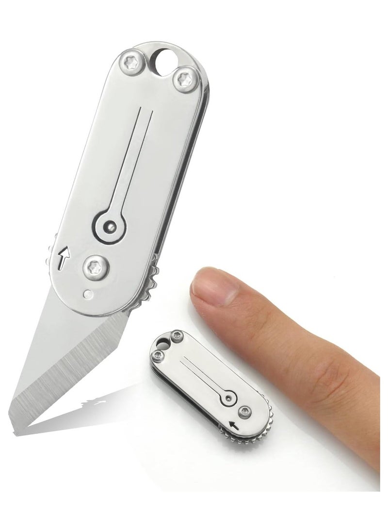 Mini Folding Pocket Tool, Portable Small Keychain Tool for Daily Use and Outdoors, Small Pocket Knife, Mini EDC Tool, Box Cutter, Stainless Steel Folding Knife for Men, Fruit Knife, Camping Knife