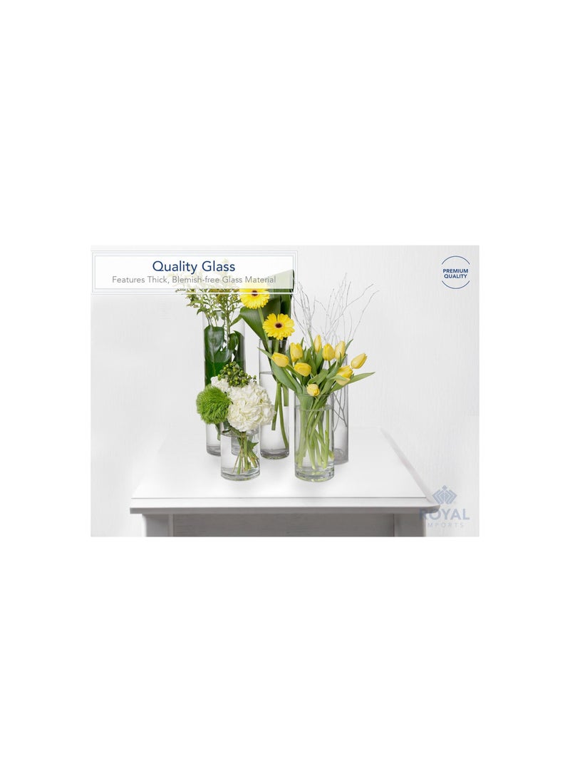 (15cm wide x 30cm tall, Clear) - Flower Glass Vase Decorative Centrepiece For Home or Wedding- Cylinder Shape, 30cm Tall, 15cm Opening, Clear