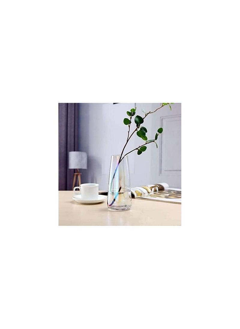 Ins Modern Glass Vase Irised Crystal Clear Glass Vase for Home Office Decor (Neon Clear)