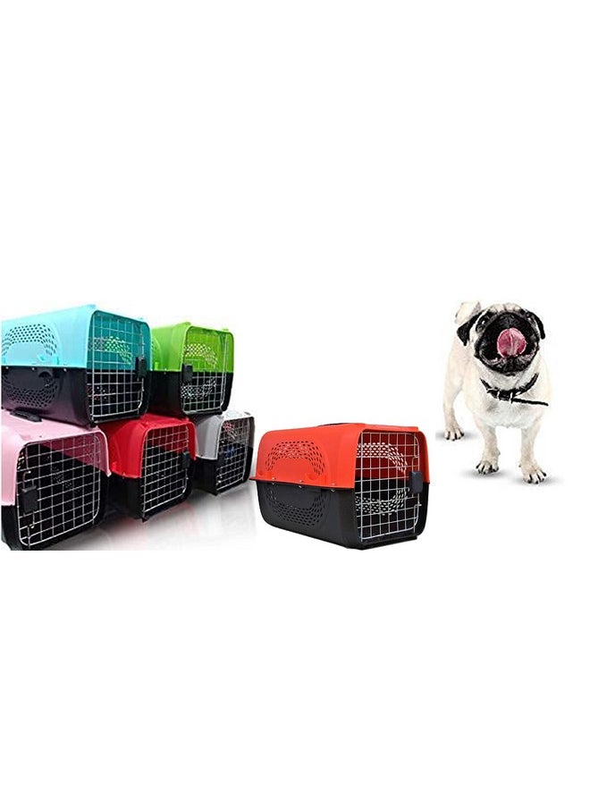 Pet Travel Carrier Dog Cat Rabbit Basket Plastic Handle Hinged Door Folding Collapsible Transport Box Crate Cage Size 19.5 X 13 X 12.5 Inch For Puppy Cats - Color As Per Available (Pack Of 1)