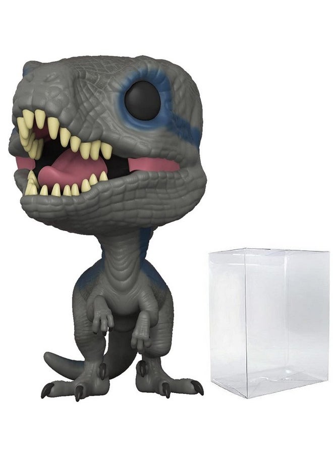 Pop Jurassic World Fallen Kingdom Blue [Velociraptor] Pop Vinyl Figure (Bundled With Compatible Pop Box Protector Case) Multicolor 3.75 Inches