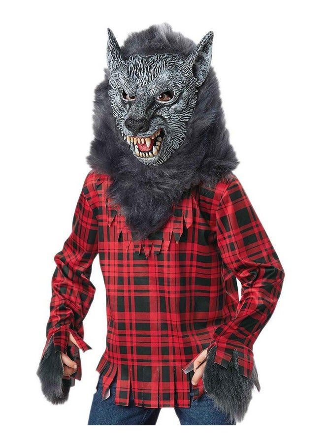 Direct Halloween Boys Gray Full Moon Werewolf Costume (M(8-10)),Red