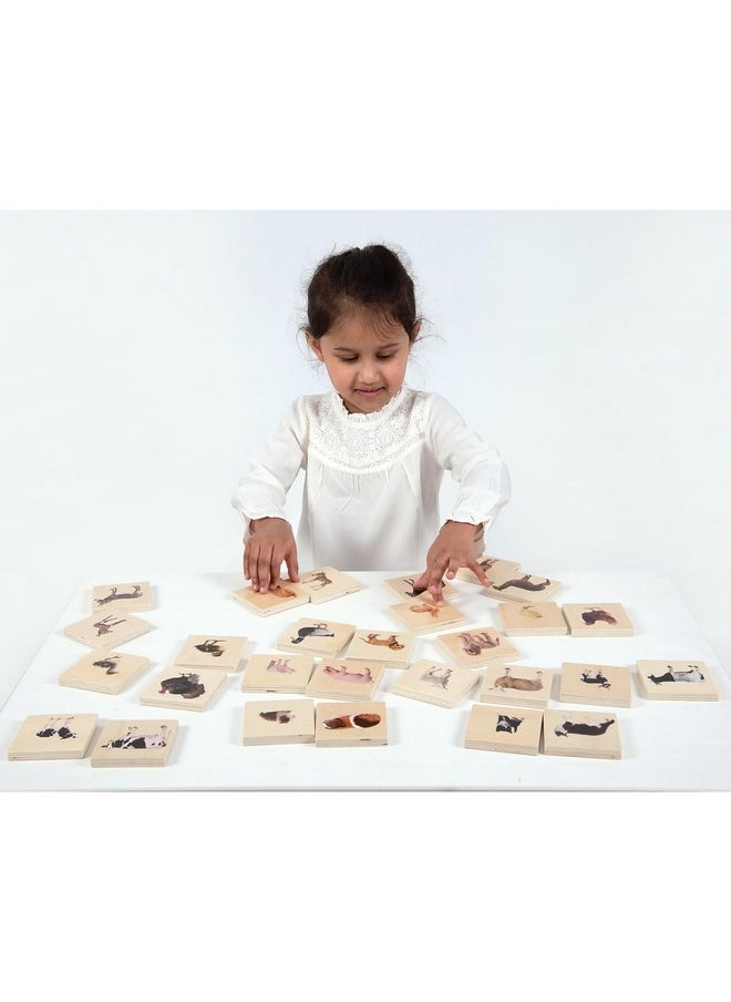 - 73406 Domestic Animal Family Match - Set Of 28 - Real Pictures - Animal Memory Game With Parents And Babies - Animal Matching Game For Toddlers - Develop Cognitive Skills ,Critical Thinking
