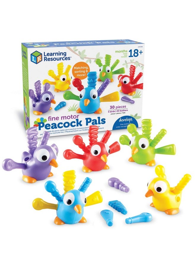 Fine Motor Peacock Pals 5 Pieces Ages 18+ Months Toddler Learning Toys Fine Motor And Sensory Toys