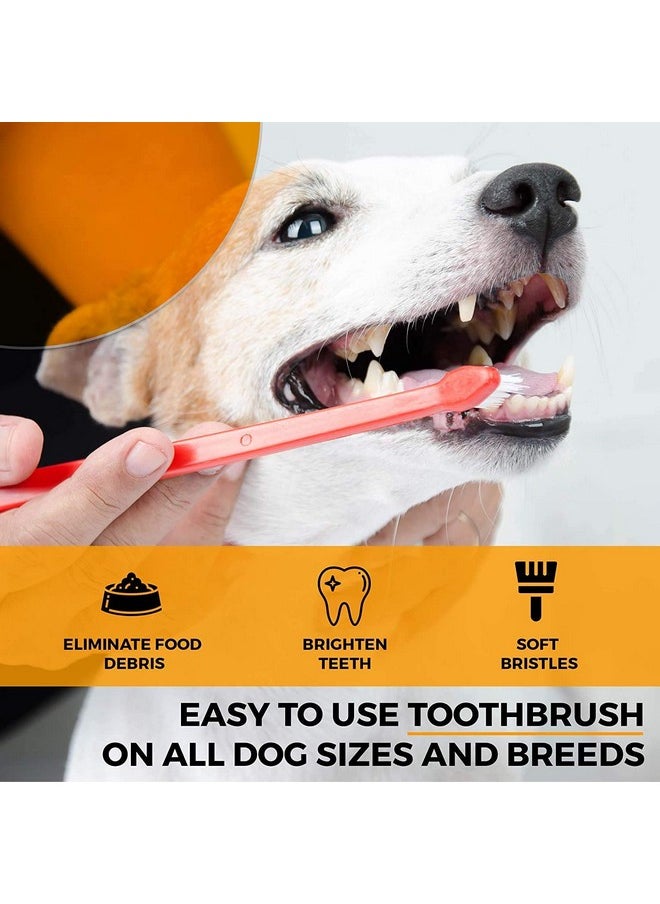 Double Headed Dental Cleaning Toothbrush For Dogs Cats Puppy -Set Of 2