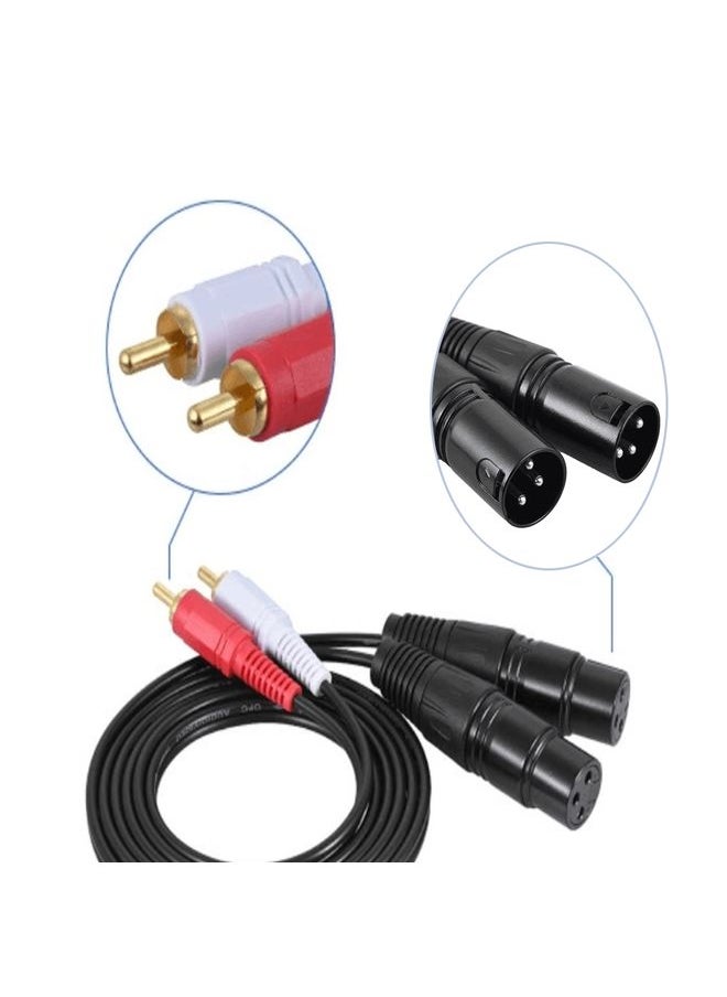 2RCA To 2XLR Speaker Canon Cable Audio Balance Cable, Size: 1m(Dual Lotus To Dual Canon Male)