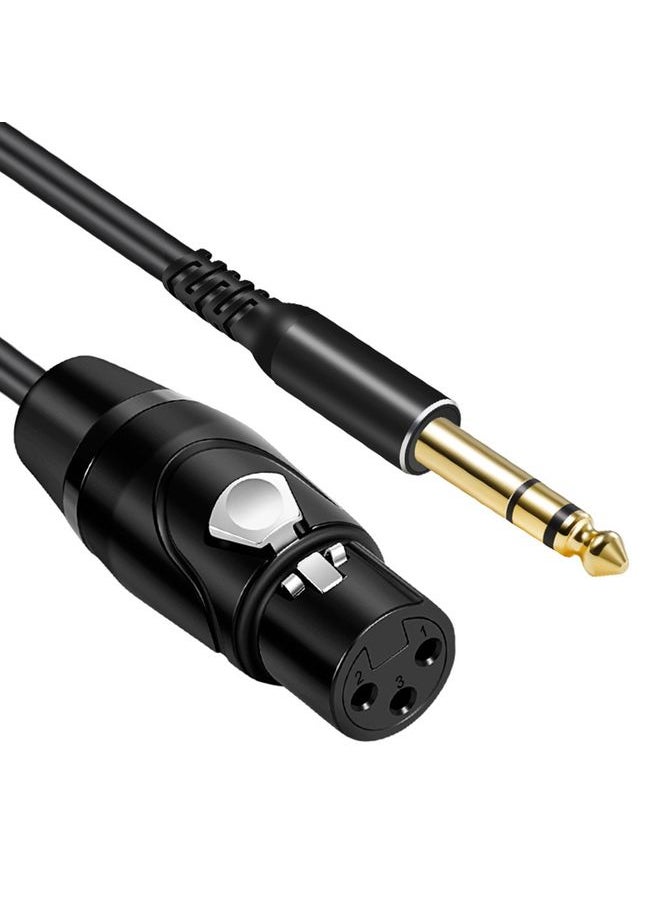 6.35mm to XRL Canon Female Dual Channel Microphone Audio Cable, Length:1m(Black)