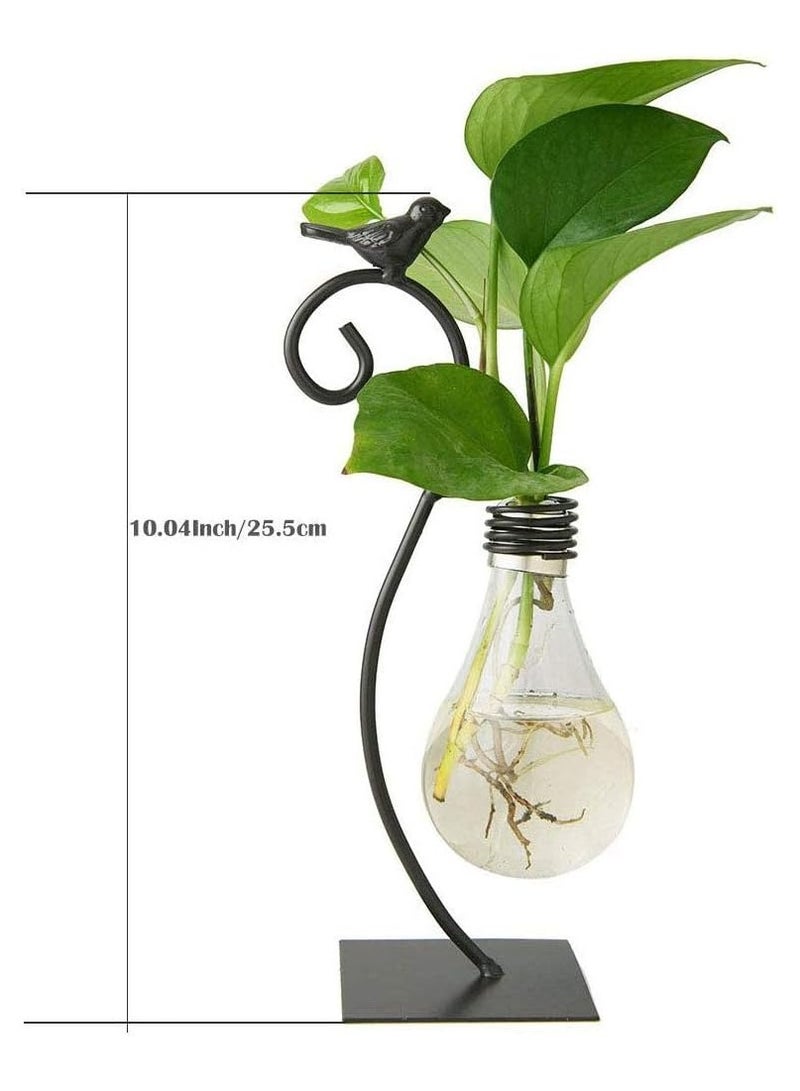 Desktop Glass Planter Hydroponics Vase,Planter Bulb Vase with Holder for Home Decoration,Modern Creative Bird Plant Terrarium Stand, Scindapsus Container