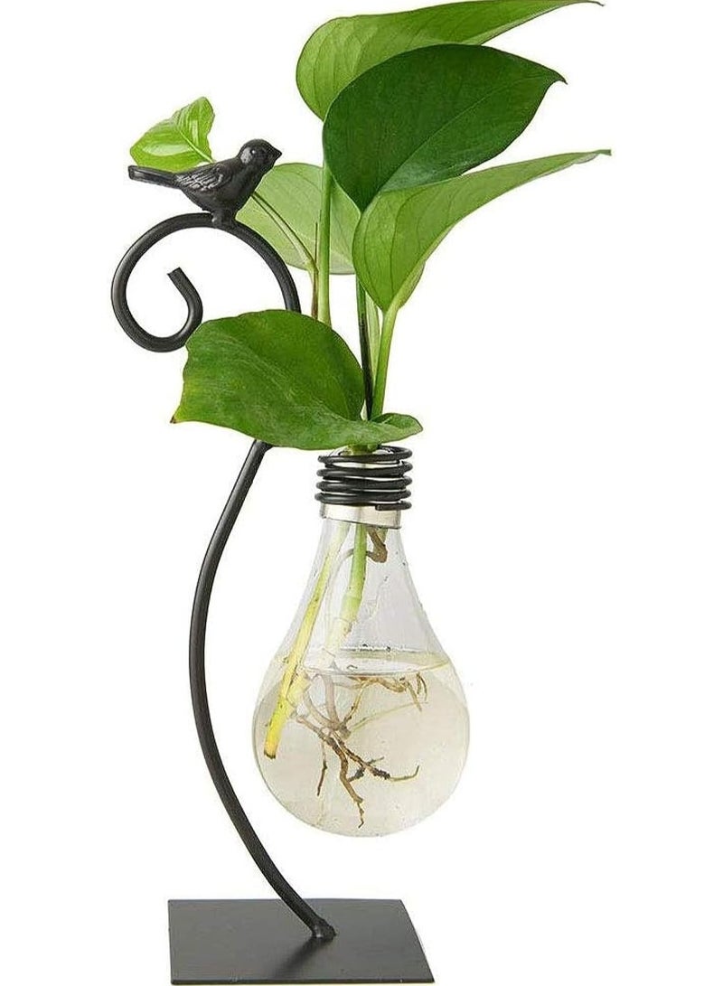 Desktop Glass Planter Hydroponics Vase,Planter Bulb Vase with Holder for Home Decoration,Modern Creative Bird Plant Terrarium Stand, Scindapsus Container