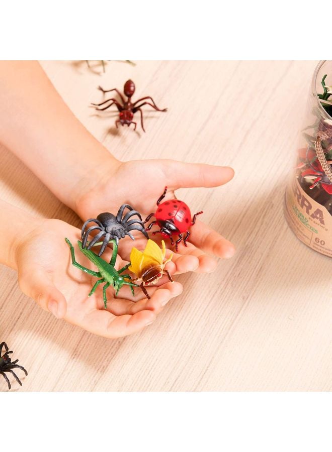 Terra - Insect World