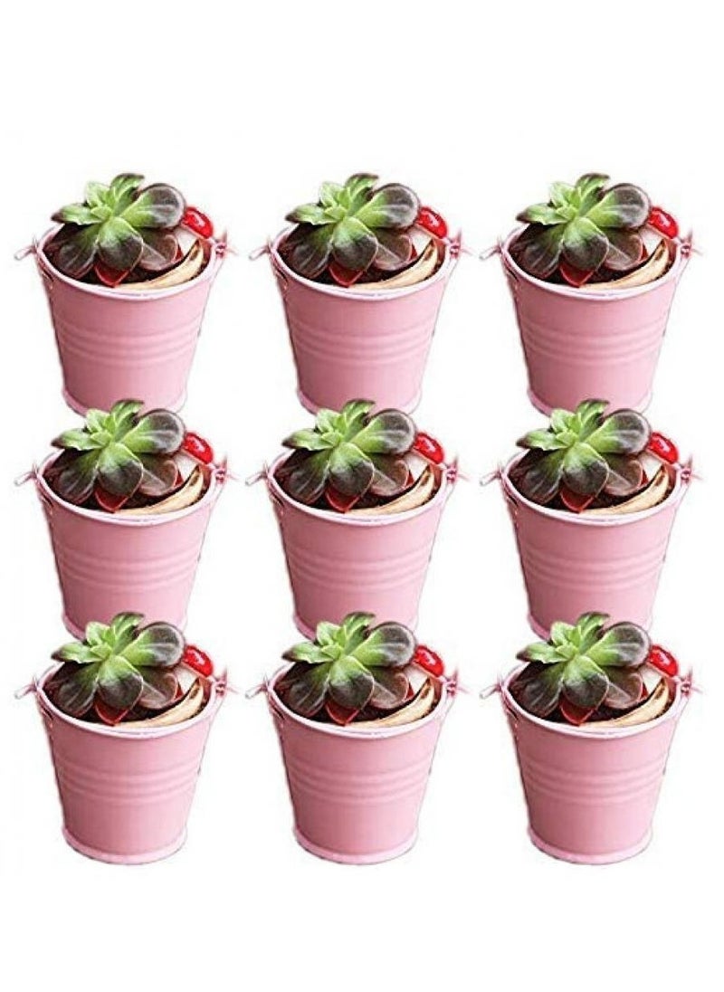 30 Pack Multipurpose Pink Mini Metal Bucket Tin With Sheer Bag Candy Box Buckets Souvenirs Gift Pails for Wedding Favor Party Favor Baby Shower Favor