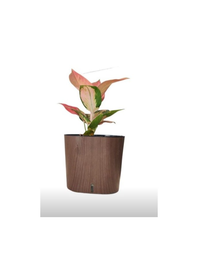 Cavender Printed Self Watering Plastic Pot Wenge Wooden Color for Indoor Plants Cavender Shape