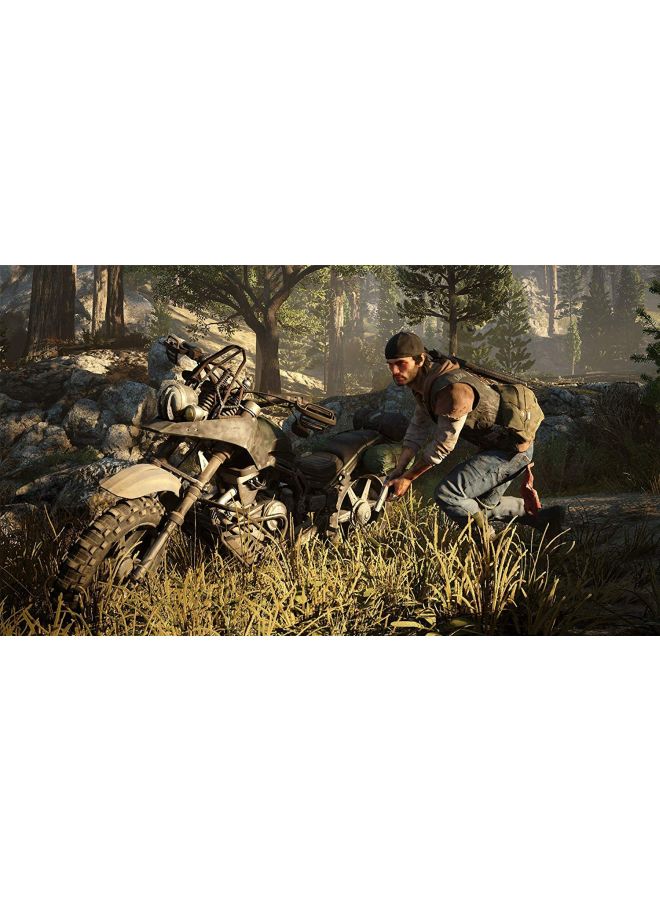 Red Dead Redemption II + Days Gone - Adventure - PlayStation 4 (PS4)