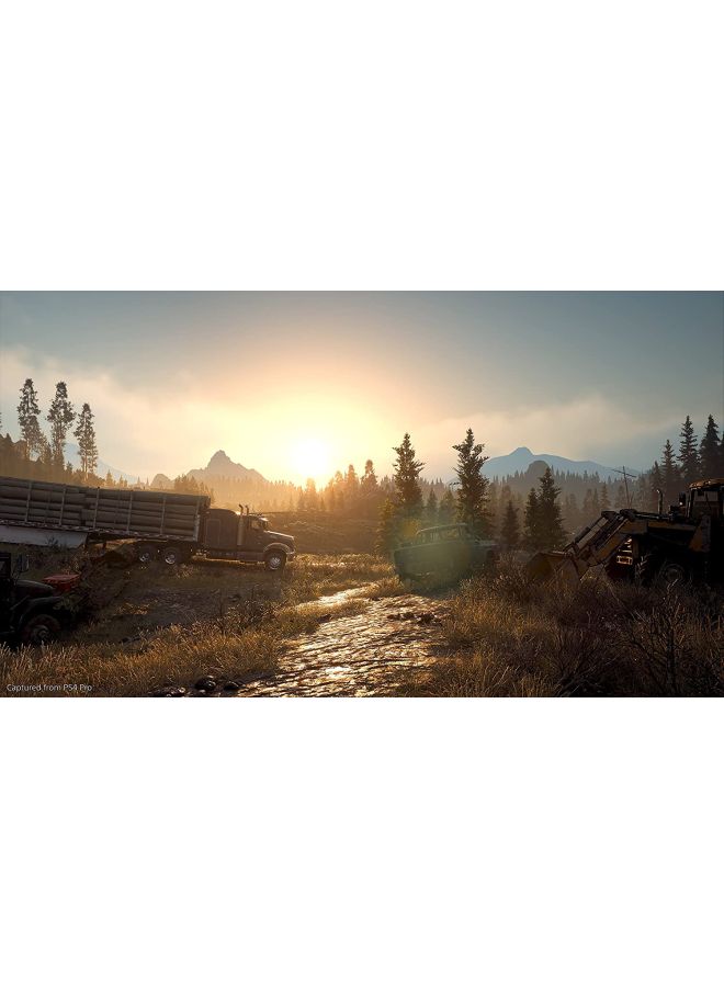 Red Dead Redemption II + Days Gone - Adventure - PlayStation 4 (PS4)