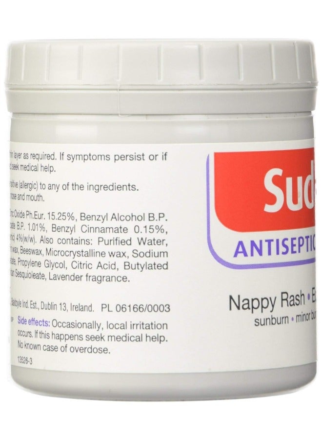 Sudocrem Antiseptic Healing Cream For Nappy Rash, Eczema, Burns - 250g