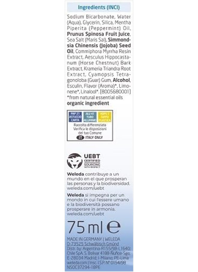 Natural Salt Toothpaste, 2.5 Ounce (Pack of 1)