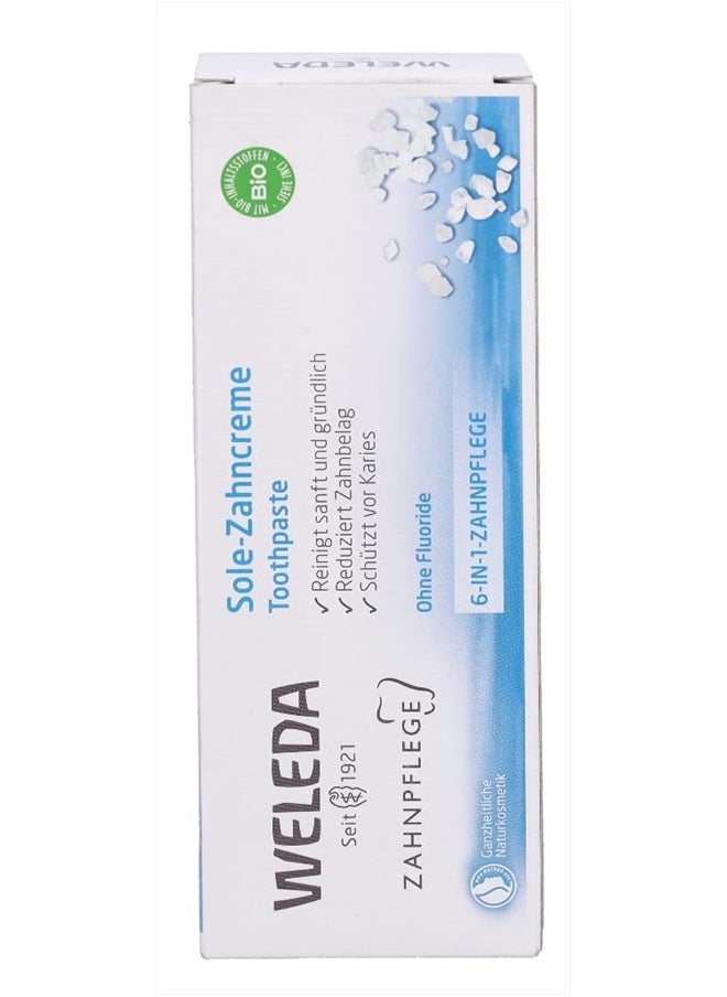Natural Salt Toothpaste, 2.5 Ounce (Pack of 1)