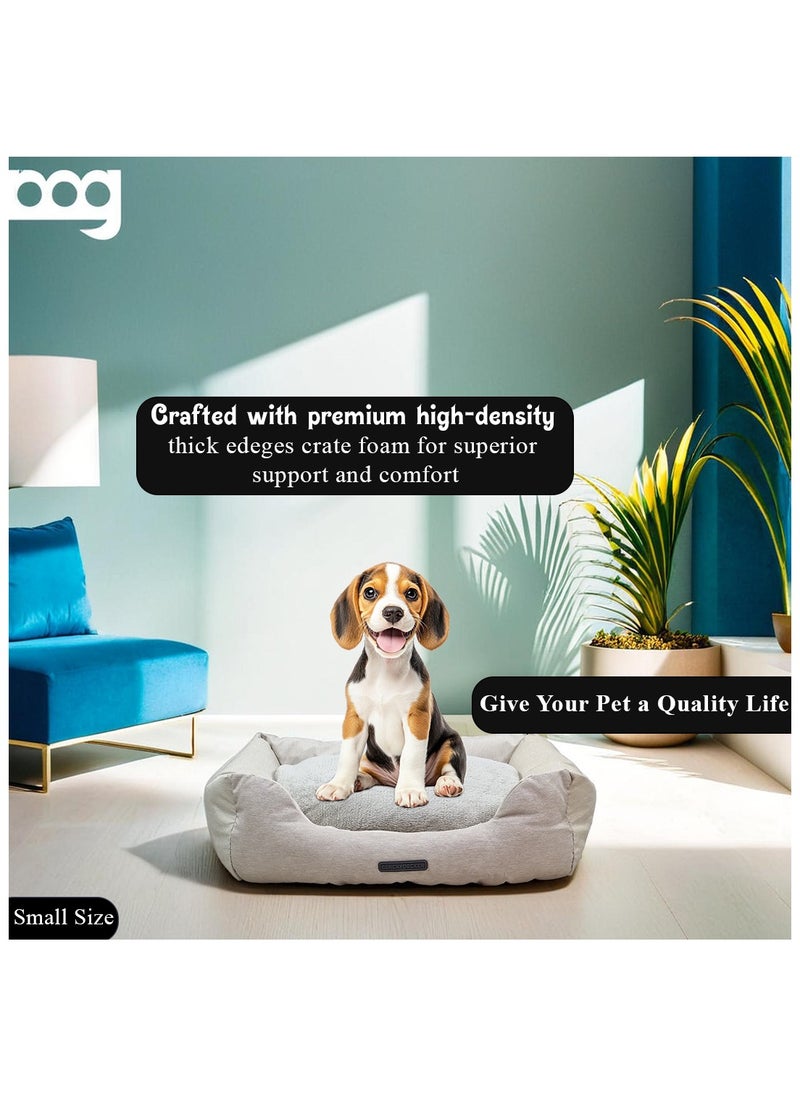 Dog bed with Removable Cushion, Breathable, PP cotton, and Durable, Idea for Indoor Cats and Dogs, Non-slip Bottom, Waterproof, Soft edges, and Small size 63 cm (Beige)