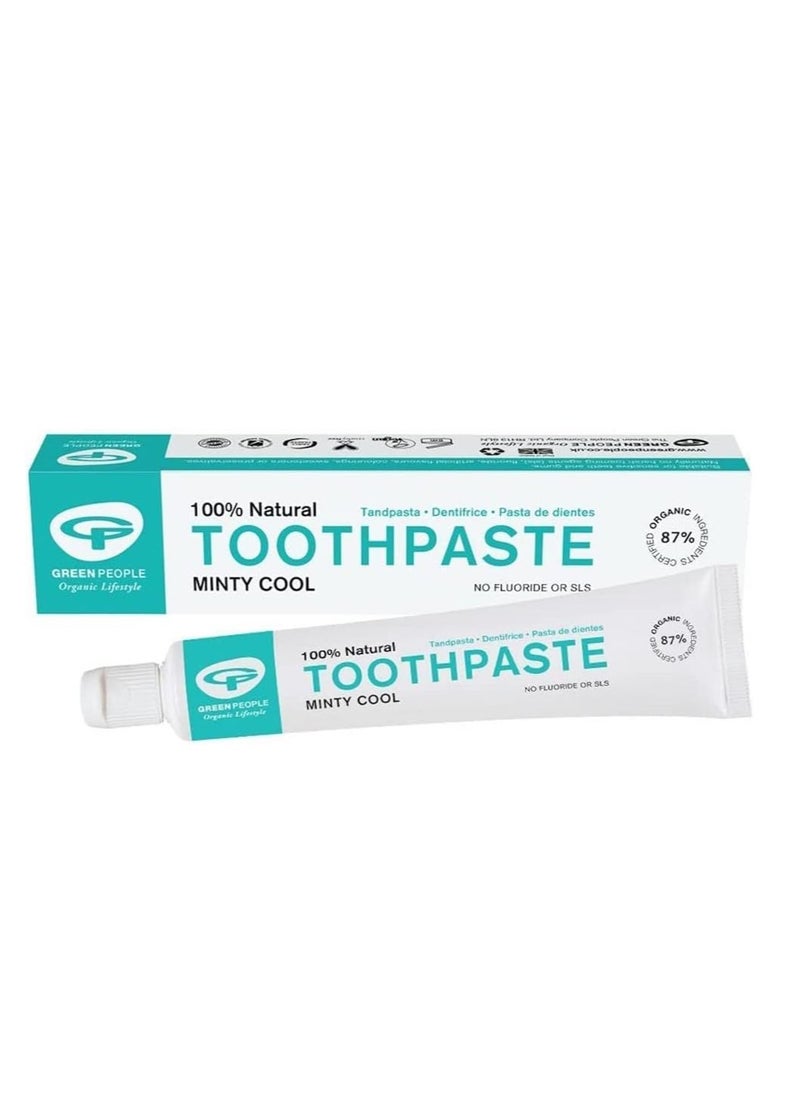 Minty Cool Toothpaste 50ml 100 percent Natural Mint Toothpaste for Adults Certified Organic Dental Care Fluoride free and SLS free Toothpaste for Sensitive Gums Vegan and Cruelty Free