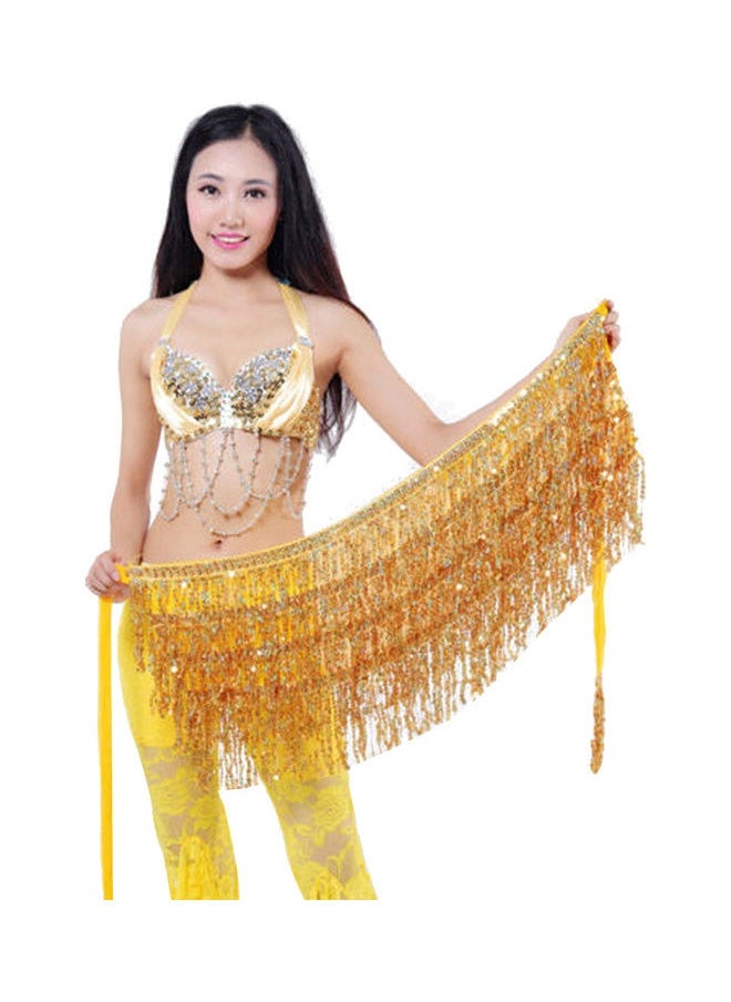 Belly Dance Dancer Costume Sequins Tassels Fringes Hip Scarf Belt Waist Skirt 20 x 10 x 20cm