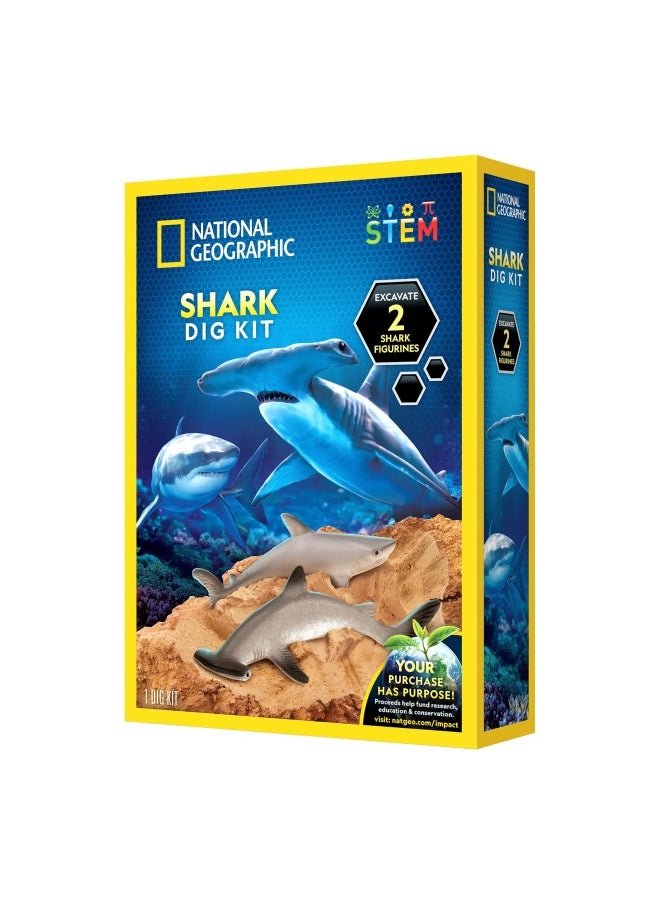 National Geographic Shark Dig Kit