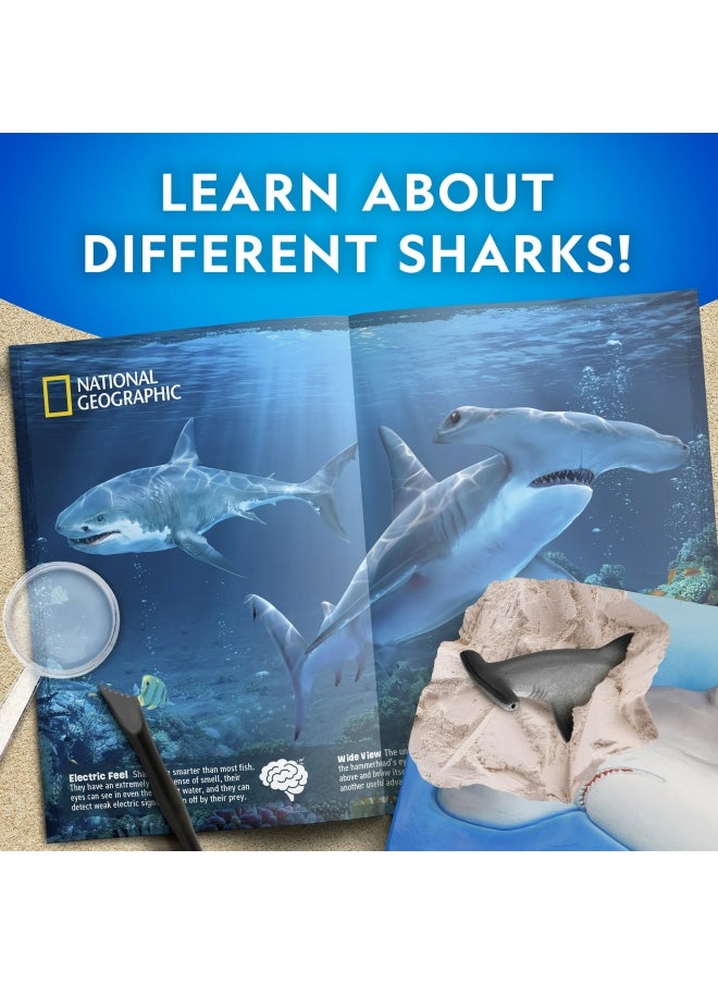 National Geographic Shark Dig Kit