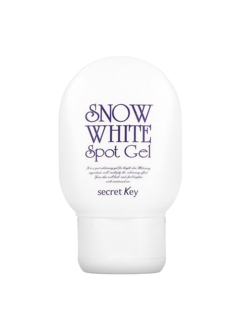 Secret Key Snow White Spot Gel 65ml