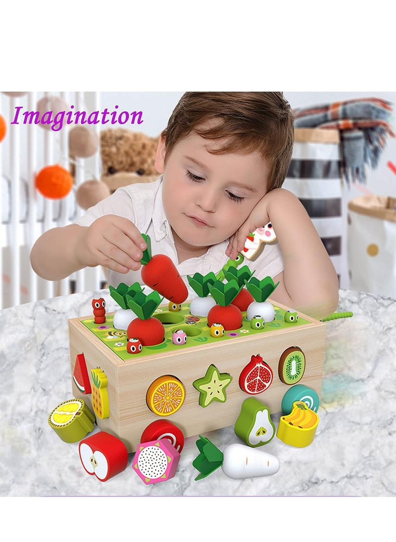 Montessori Wooden Educational Toys for Boys Girls, Shape Sorting Size Matching Toys Gifts for Kids, Wood Preschool Learning Fine Motor Skills Game