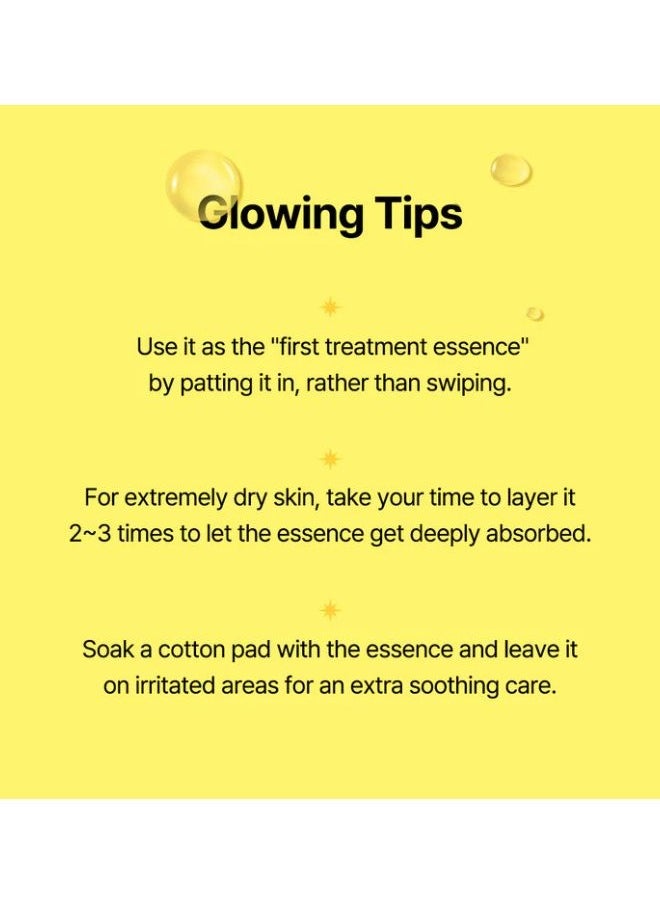 Propolis Energy Boosting Essence 100ml, Korean Skincare, Serum Booster Suitable for All Skin Types