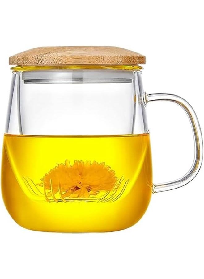 Glass Tea Cup with Infuser and Lid, Steeping Mug with Removable Strainer and Lid for Loose Leaf Tea, Borosilicate Glass Mug for Blooming Tea (400ml)