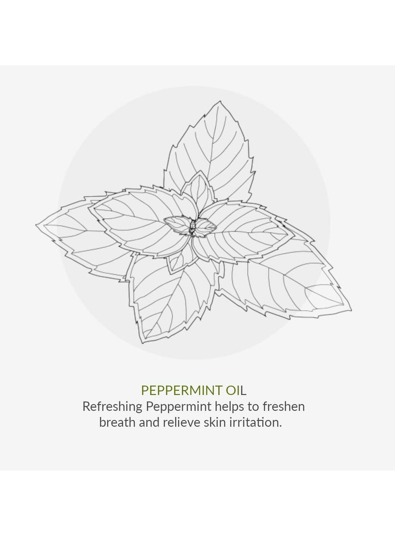 Fresh Mint Toothpaste with Fluoride 75ml Certified Organic Ingredients Cruelty Free SLS Free and Suitable for Vegans