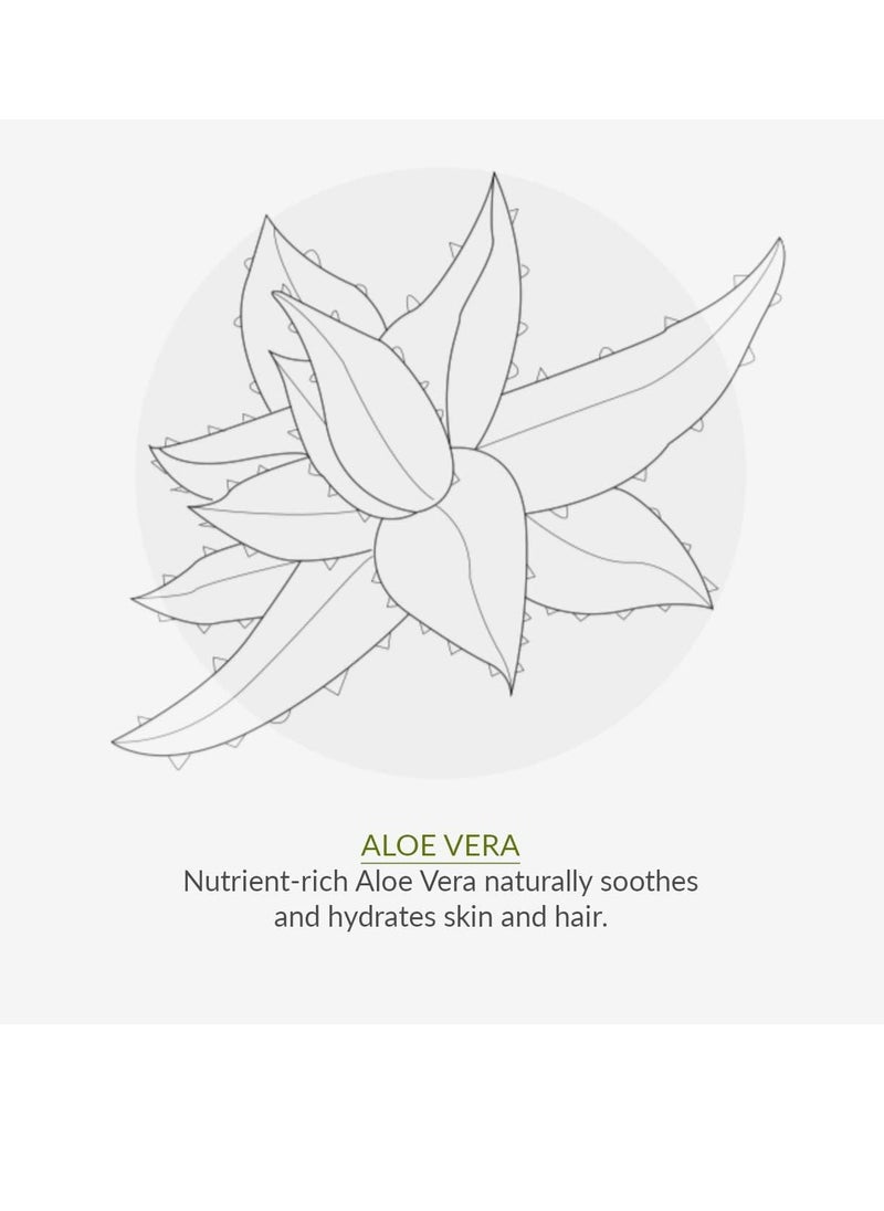 Fresh Mint Toothpaste with Fluoride 75ml Certified Organic Ingredients Cruelty Free SLS Free and Suitable for Vegans