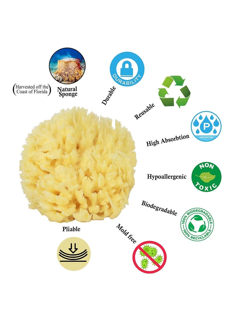 Natural Baby Bath Sponge 4” Ultra Soft Premium Sea Wool Sponge Soft On Baby’S Tender Skin, Biodegradable, Hypoallergenic, Absorbent, Brown, Pack Of 2