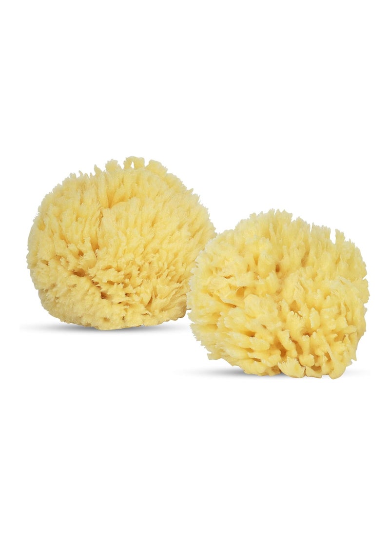 Natural Baby Bath Sponge 4” Ultra Soft Premium Sea Wool Sponge Soft On Baby’S Tender Skin, Biodegradable, Hypoallergenic, Absorbent, Brown, Pack Of 2