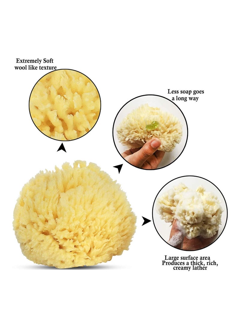 Natural Baby Bath Sponge 4” Ultra Soft Premium Sea Wool Sponge Soft On Baby’S Tender Skin, Biodegradable, Hypoallergenic, Absorbent, Brown, Pack Of 2