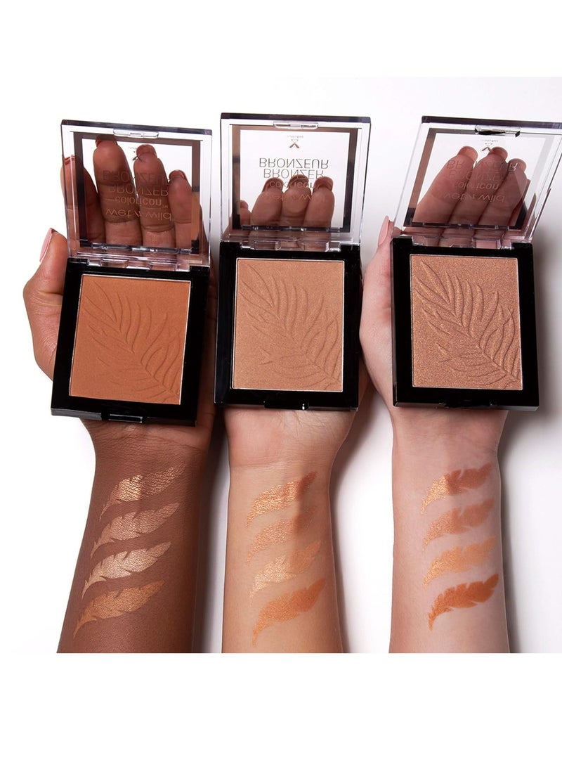 Color Icon Bronzer What Shady Beaches
