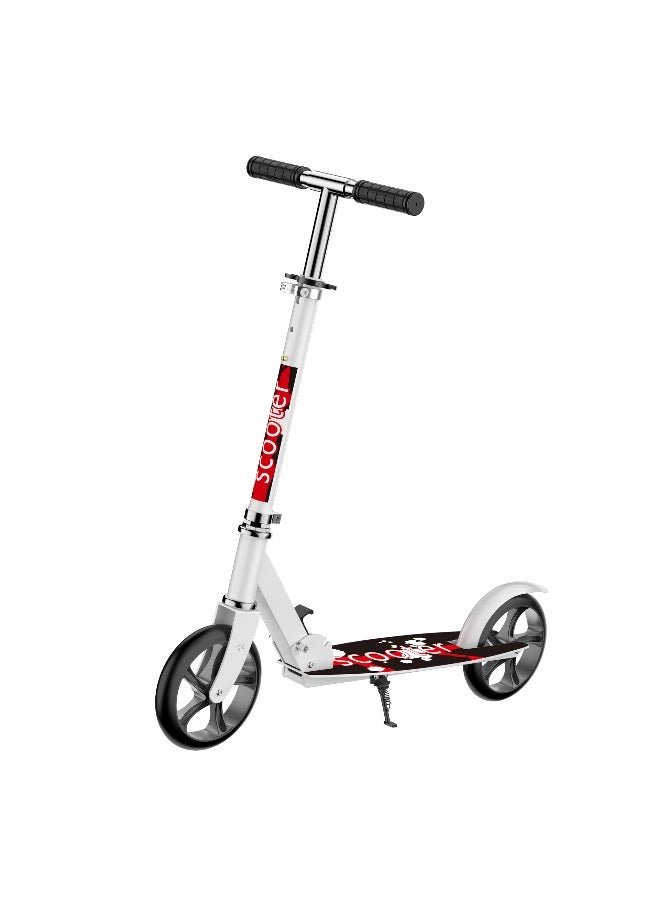 Folding Kick Scooter With Big Wheels