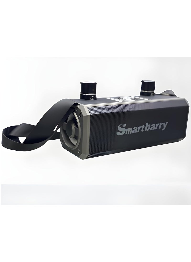 Smart berry M28 Portable Karaoke Machine Wireless Bluetooth Speaker With two Microphones