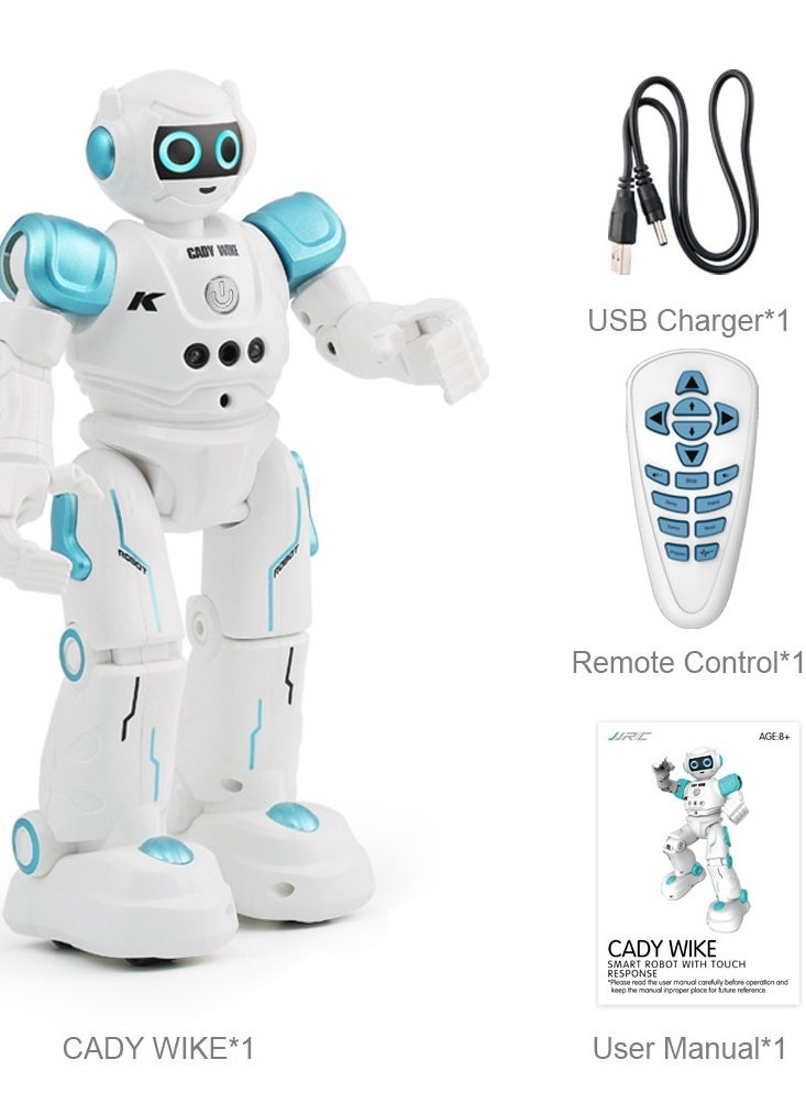 Robot Toys for Kids - Smart Talking Voice Remote Control Robot, Gesture Sensing Programmable Emo Robot，Remote Control Programmable Gesture Sensor Music Dance RC Toy for Kids