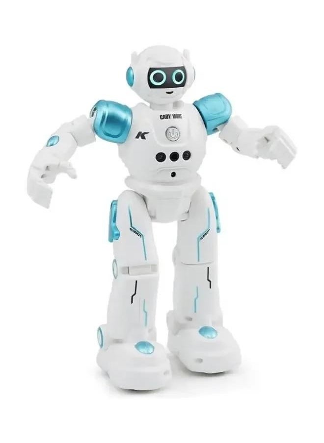 Robot Toys for Kids - Smart Talking Voice Remote Control Robot, Gesture Sensing Programmable Emo Robot，Remote Control Programmable Gesture Sensor Music Dance RC Toy for Kids