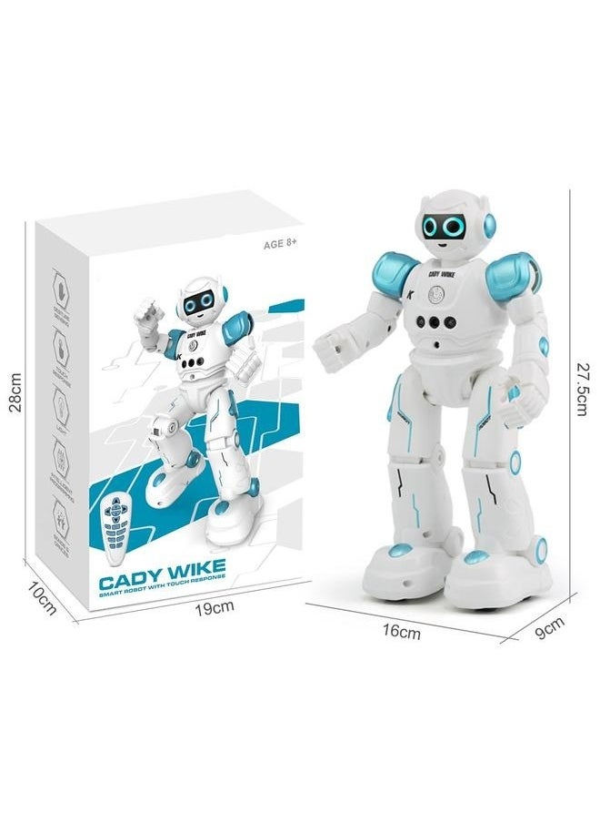 Robot Toys for Kids - Smart Talking Voice Remote Control Robot, Gesture Sensing Programmable Emo Robot，Remote Control Programmable Gesture Sensor Music Dance RC Toy for Kids