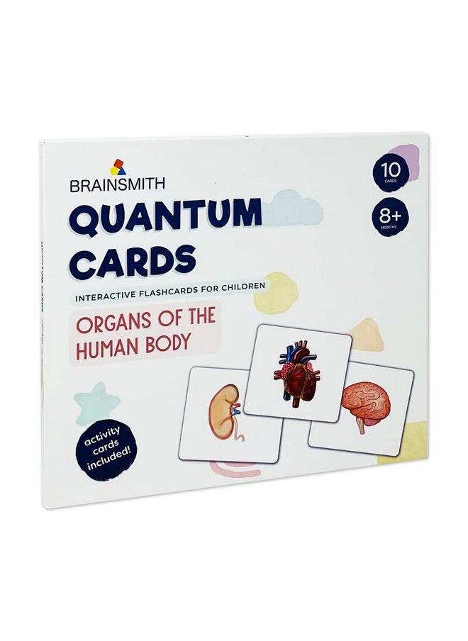 Artboard Human Body - Educational Flashcard Set, Multicolour, 8 Months To 8 Years, Set Of 10, Kid, Multicolor