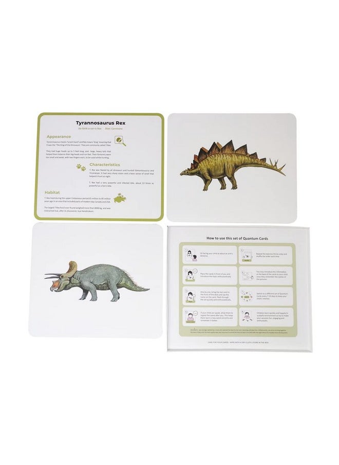 Artboard Dinosaurs - Learning Flash Card Set, Multicolour, 8 Months To 8 Years, 10 Cards